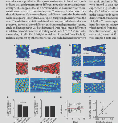 Krupic et al. 2015 Figure 3 crop showing global distortion of grid fields in trapezoids