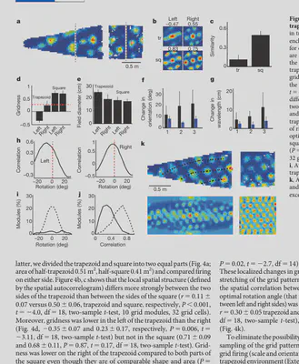 Krupic et al. 2015 Figure 4 crop showing local inhomogeneity across the two sides of a trapezoid